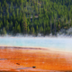 Illustration for article titled Photodump: Yellowstone National Park